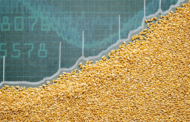 Is the Sustainable Grain Market Worth It?