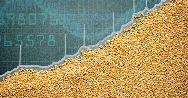 Is the Sustainable Grain Market Worth It?