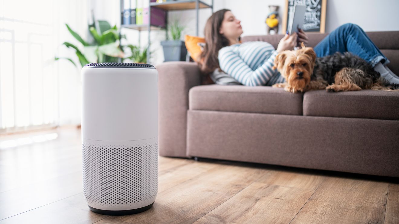 What should you consider when buying an air purifier in Canada to combat wildfire smoke? Before you buy, here are 5 tips.