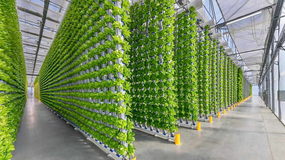 Vertical farms in Texas disrupt supply chains of fresh produce