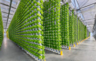 Vertical farms in Texas disrupt supply chains of fresh produce