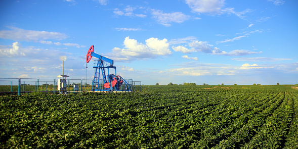 Are Soybean Oil And Crude Oil Playing A Game Of 'Tag'?