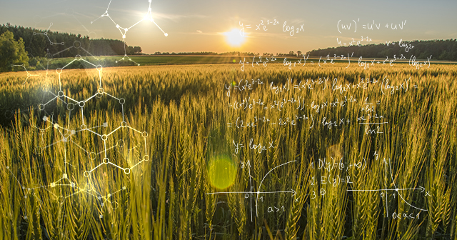 Whose Farm Is More Sustainable? Calculating Farm Sustainability.