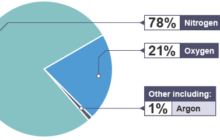 The Journey Towards Carbon Neutrality