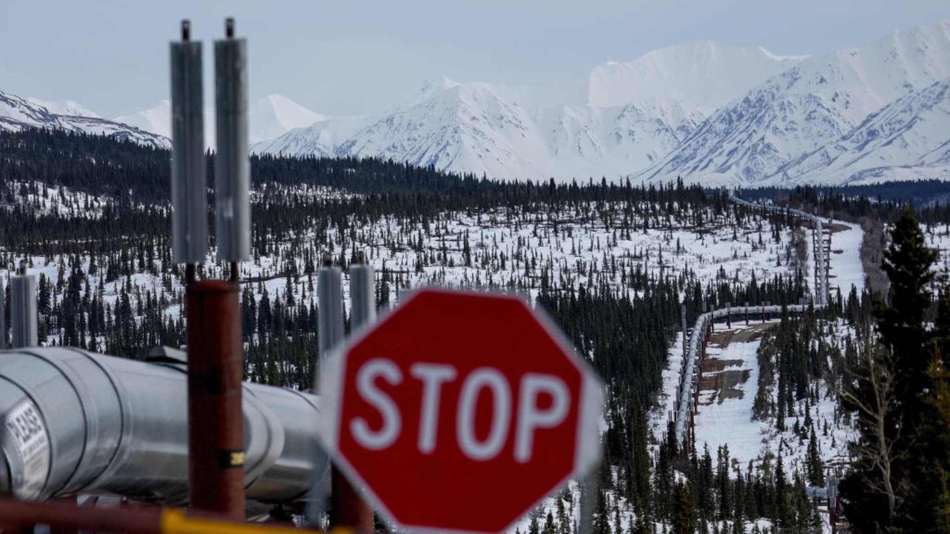 ‘Extremely risky’: OPEC criticizes IEA forecast that fossil fuel demand will peak before 2030