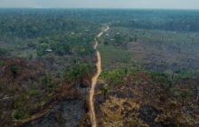 Brazil touts climate credentials as Amazon deforestation falls — but draws criticism over oil bet