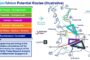 Project Union | UK Hydrogen clusters and valleys, Q3, 2023