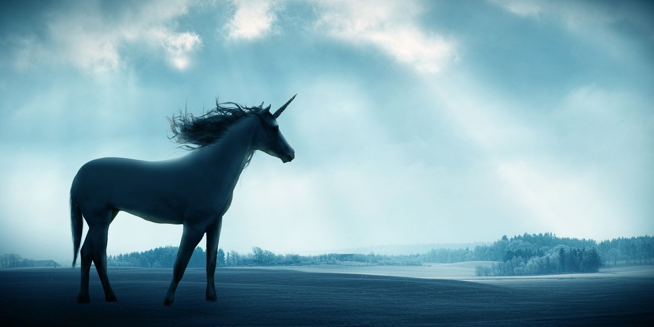 IPO Report: IPO market braces for first tech unicorns in nearly two years
