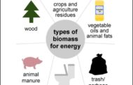 Small Steps to Mitigate Climate Change – Biomass – Part 2