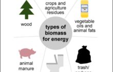 Small Steps to Mitigate Climate Change – Biomass – Part 2