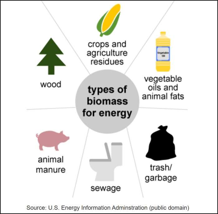 Small Steps to Mitigate Climate Change – Biomass – Part 2
