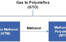 The Effect of Natural Gas Shortage and Its Price on the Economy of Petrochemical Plants