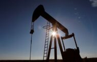 Oil prices dive on big US crude stock build, record output