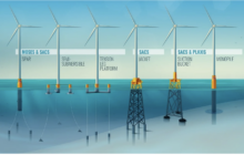 Winds of Change: Offshore Wind Farms at the Forefront of Energy Transition