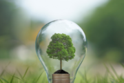 Eco-Friendly Lighting Solutions: DC Lighting and Sustainability
