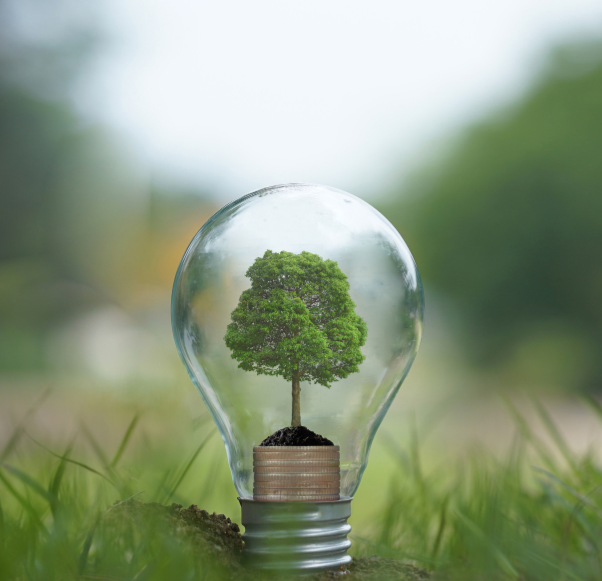 Eco-Friendly Lighting Solutions: DC Lighting and Sustainability