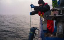 Innovative fish eDNA project to revolutionise environmental survey work at offshore wind farms