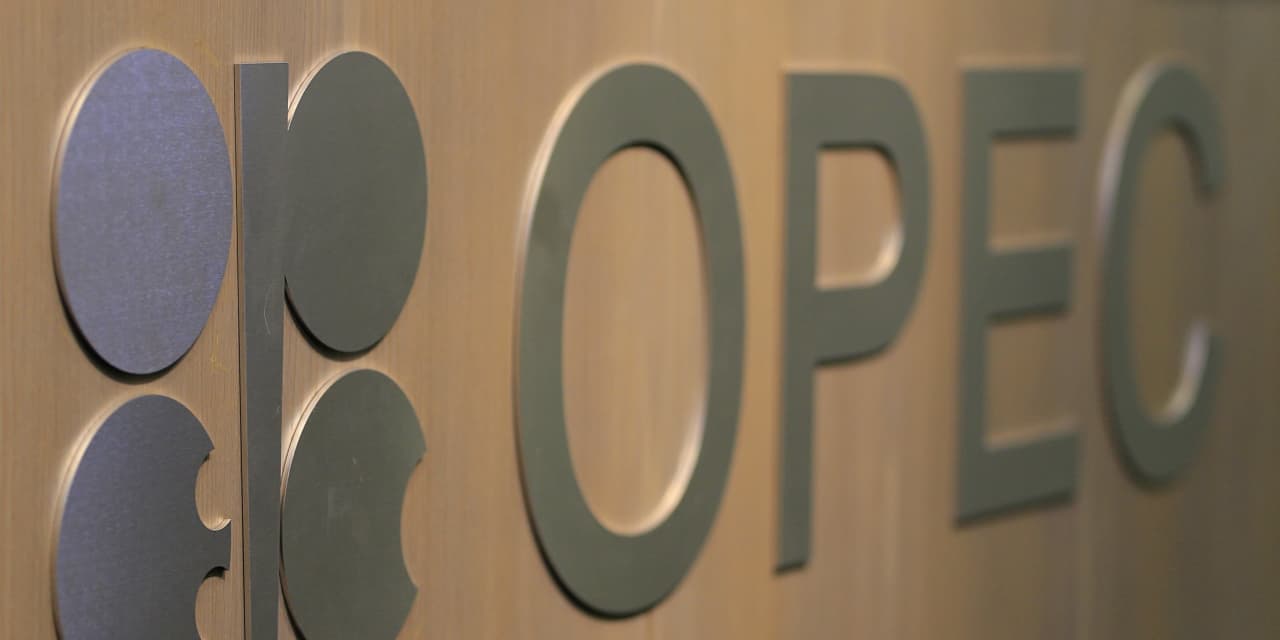 Commodities Corner: OPEC+ meeting postponement raises talk of a ‘rift’ among oil producers