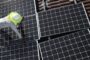 Russia's Lavrov assails West over switch to green energy