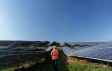 New large-scale solar project database reveals some interesting insights