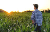 Blog: Demystifying Agriculture Sustainability