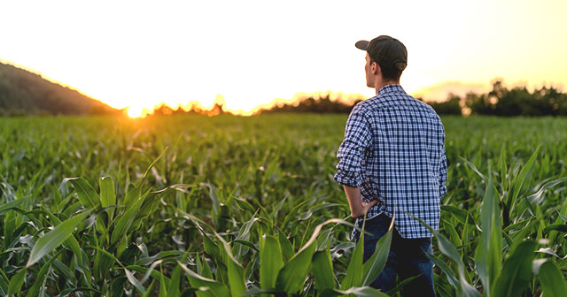 Blog: Demystifying Agriculture Sustainability