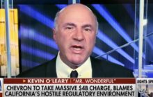 'I wouldn't let him manage a candy store': Kevin O'Leary blasts California Gov. Gavin Newsom after Chevron projects up to $4B profit hit due to state's energy policies