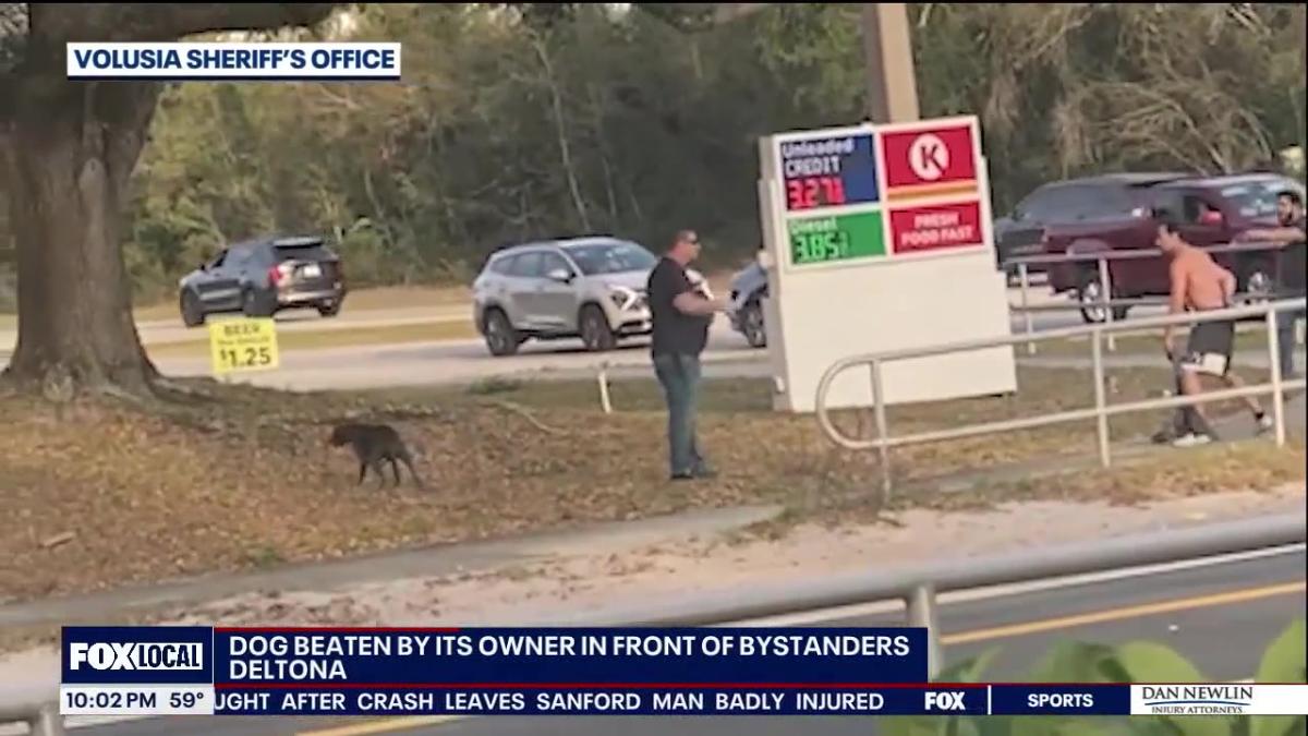 Bystanders fight Florida man accused of whipping dog with chain Deltona outside gas station