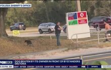 Bystanders fight Florida man accused of whipping dog with chain Deltona outside gas station