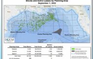 The Gulf of Mexico | Hydrogen, Carbon Capture and Storage