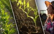 Sustainability: Three Key Takeaways from the 2022 USDA Ag Census