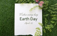 Recognizing Earth Day: Most Viewed Sustainability Posts from the Past Year