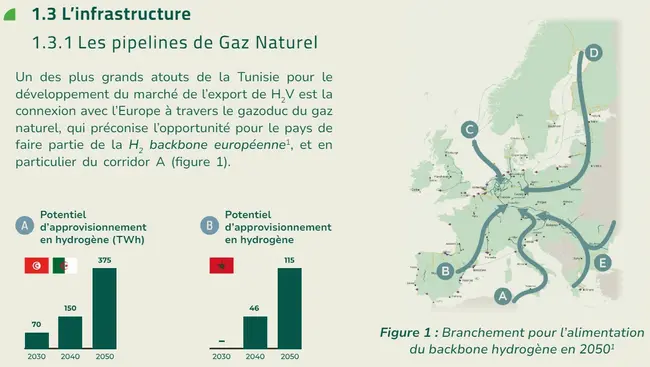 Tunisia | Green Hydrogen Strategy