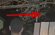 Las Vegas alien video shows at least 2 'beings' using 'cloaking' device: 'I'm opening it up to peer review'