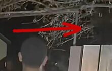 Las Vegas alien video shows at least 2 'beings' using 'cloaking' device: 'I'm opening it up to peer review'