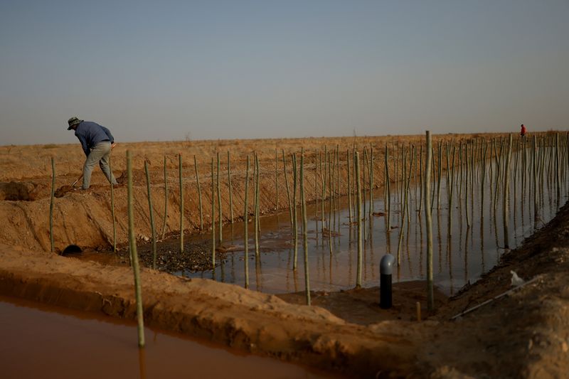China's food security dream faces land, soil and water woes