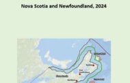 Offshore Wind and Hydrogen | Nova Scotia and Newfoundland, 2024