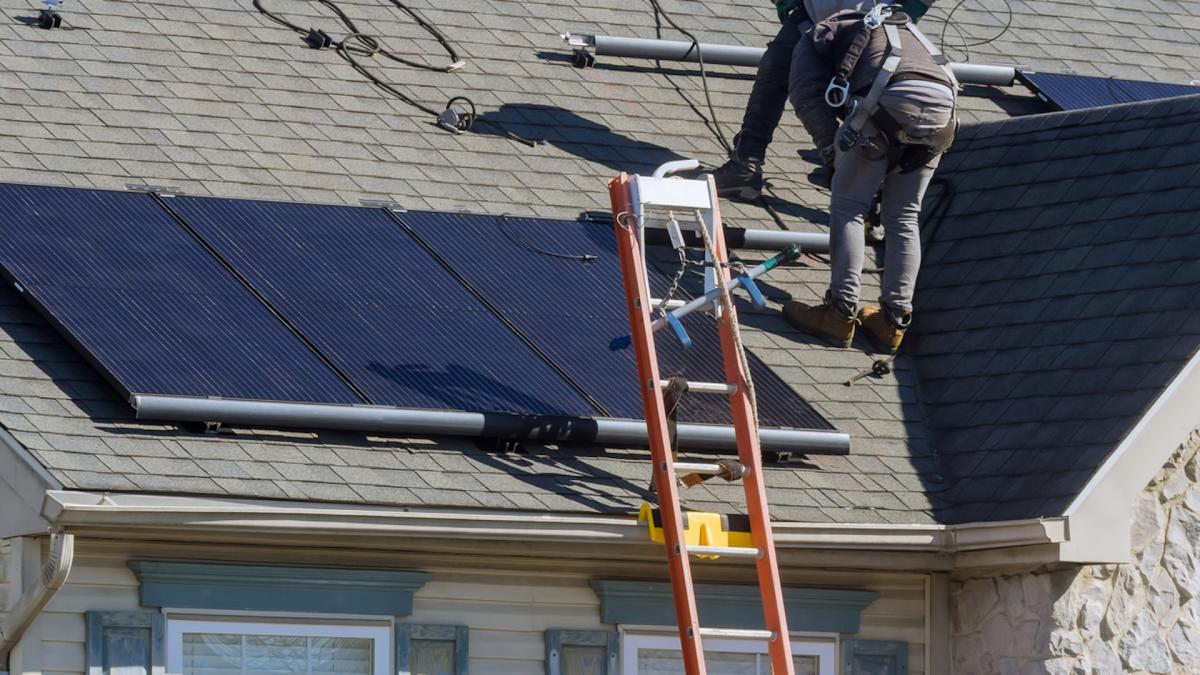 Analysts reveal solar panel prices continue to drop to new lows: 'We're seeing prices come down pretty much across the board'