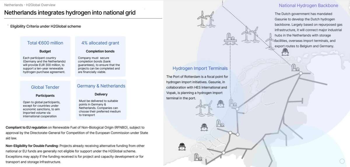 Global Hydrogen Auctions