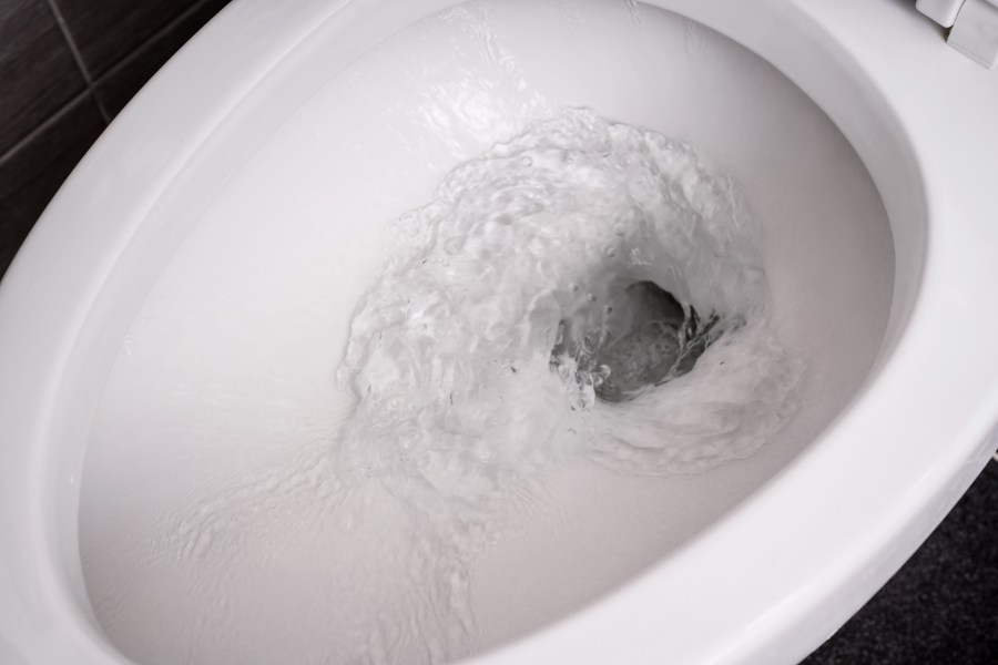 Local community warned to keep toilet lids closed