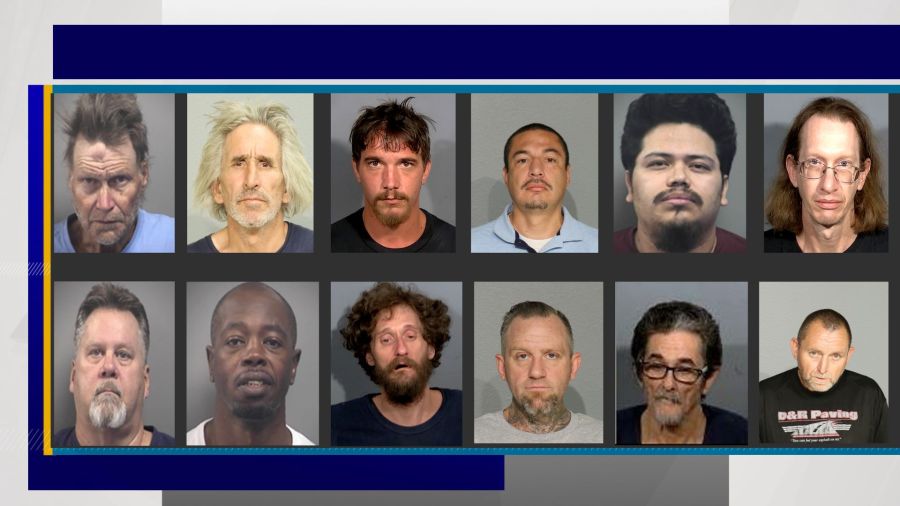 Las Vegas police agencies arrest 12 in sex offender compliance check operation