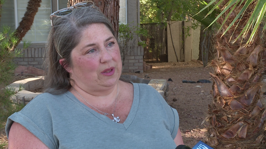 Jami Whitehead shares a wall with the abandoned house and explains that she is worried about the health of her dogs and family who try to enjoy their backyard. (KLAS)