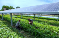 Agricultural Solar Grants and Loans.