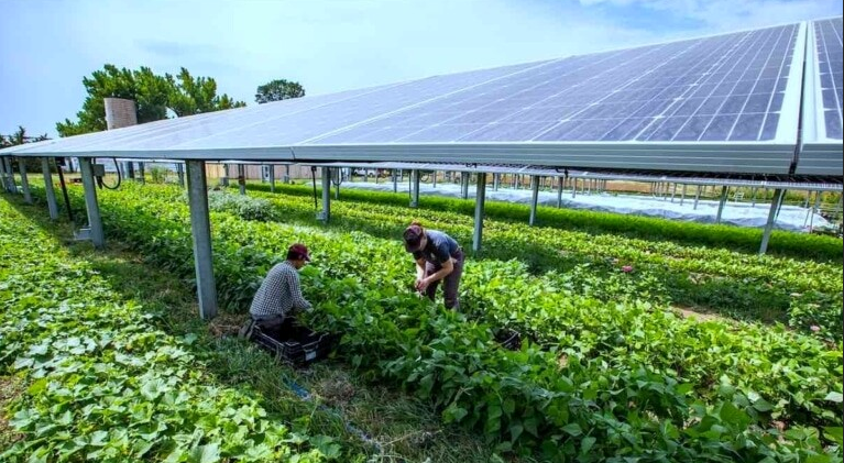 Agricultural Solar Grants and Loans.