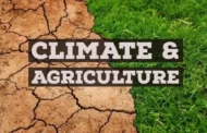 How Does climate change affect agriculture?