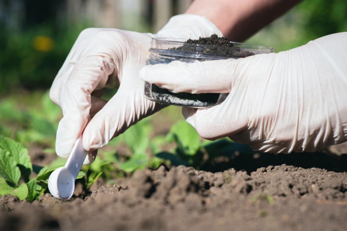 Scientists make game-changing discovery while analyzing toxic byproduct in soil: 'It gives us hope'