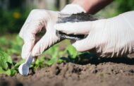 Scientists make game-changing discovery while analyzing toxic byproduct in soil: 'It gives us hope'