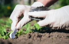 Scientists make game-changing discovery while analyzing toxic byproduct in soil: 'It gives us hope'