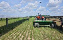 Large-scale Ohio research project to explore how solar and farming can co-exist