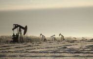 Has peak oil demand finally arrived?